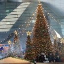 일진빌리지 이미지