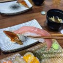 강남구청역맛집 스시도우 재방문한 리얼후기