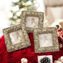 로얄트리 이미지