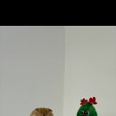 렌탈스튜디오비씨디 네이버블로그
