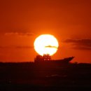 종달바당 이미지