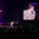 2024 러브썸 페스티벌 후기
