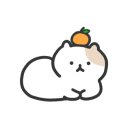 인천고양이분양 도레미캣 이미지