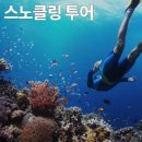 여행하기 좋은 날 이미지