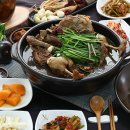 산호황칠나무농원 이미지