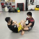 베어종합격투기