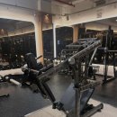 라이언짐 이미지