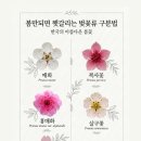 카페숲숲 - 남양주시 광릉수목원로 150-15 | 카페숲숲