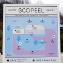 필 | 함안 대형카페 베이커리 맛집 데이트코스 추천 숲필 후기