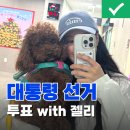 강아지 대통령 | [21대 대통령선거] 내 투표소찾기 ! 강아지동반 대선본투표 사전투표 준비물 및 날짜 시간 총정리
