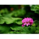 참샘농원 이미지