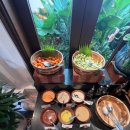 더편 | 🇻🇳 나트랑(냐짱) 더 아남 숙박 후기 조식 편☀️｜추천 메뉴와 꿀팁 대방출~!🥐✨🌴