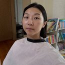 스테이아우룸