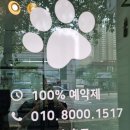 우한수 애견미용실 | 프라이빗함과 섬세한 케어 [화명동 애견미용실] 소개