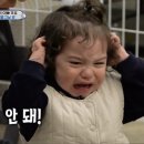 로제피부과의원 네이버블로그
