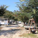 DMZ캠핑장 이미지