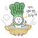 모란도 그리기(현대민화) 이미지