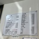 그린피그 이미지