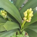 드럼교실(오전) 이미지