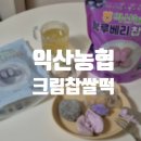 세븐일레븐 익산인북로점 | 원조 떡켓팅 익산농협 크림찹쌀떡 9종 전메뉴 먹어보기