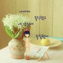 삼삼데이 이미지
