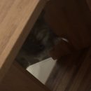 푸르다쉼터 이미지