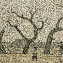 내가본꽃씨 이미지