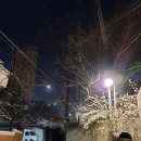 보광동 대성정육식당