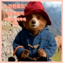 페루에 가다&#39; 고향 페루 의문의 편지 루시 숙모 사라지다 안토니오 반데라스 개봉예정작 영화 리뷰 후기