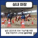 중원대학교 공공승마장 이미지