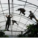 최진규축사 이미지