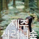 재동갤러리 이미지