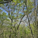 한라산을바라보는쉼터 이미지