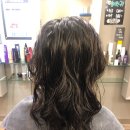 헤어뉴스(HAIR NEWS)