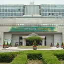 수원시청 오마이뉴스