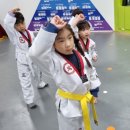 한국체대 마스터한 태권도 이미지