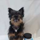 고운덴탈 이미지