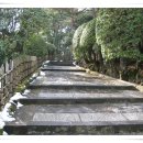 샛별여행 이미지