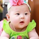 청보리 농장 이미지