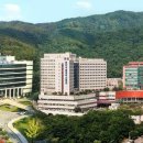 분당-310 이미지