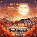 베이프247홍대