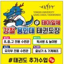 강철 용인대 태권도장 이미지