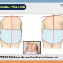 강선애댄스피트니스 이미지