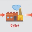 비플로우 이미지