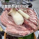 오팔팔 촌돼지식당 | 대구 다사 신선함이 최고인 돼지고기 맛집 - 오팔팔 촌돼지 식당