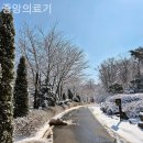 중앙의료기 | 중앙의료기 성능좋은 보청기