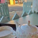 최남단해안로 | [공지] 제 25회 최남단 방어축제 후기 제주 모슬포 대표 특산물 축제