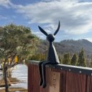 어떤 하루 | 서울근교 여행 숙소 경기도 양평 독채펜션 어떤하루 단체숙소 추천 내돈내산