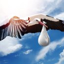 선진한의원 이미지