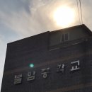 노원구 꽃집 추천/벨플로르 후기/친구 수능 선물 🎁 🌷 준비하다 !